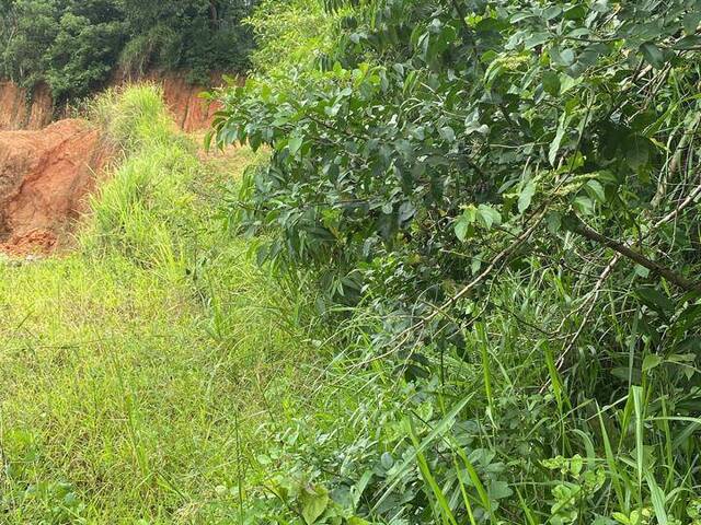 Área para Venda em Itariri - 5