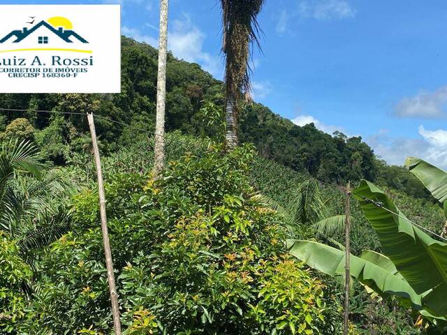 Chácara para Venda em Itariri - 4
