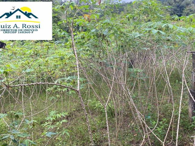 #81 - Área para Venda em Pedro de Toledo - SP - 1
