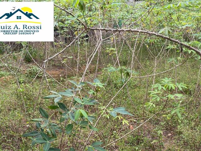 #81 - Área para Venda em Pedro de Toledo - SP - 2