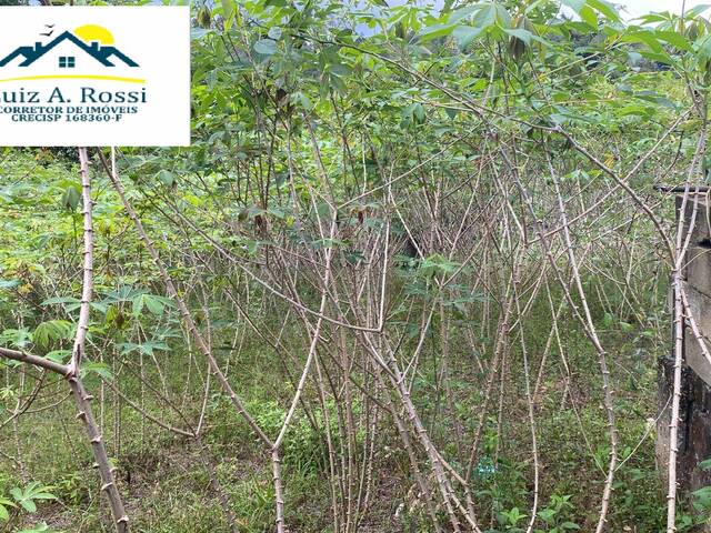 #81 - Área para Venda em Pedro de Toledo - SP - 3