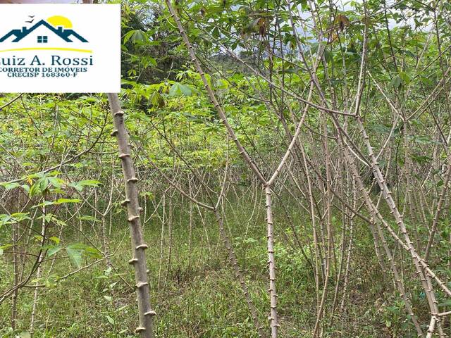 Área para Venda em Pedro de Toledo - 4