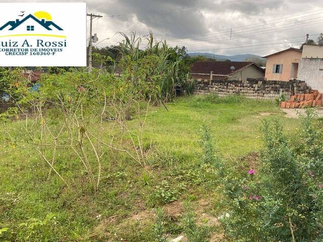 #83 - Área para Venda em Pedro de Toledo - SP - 1