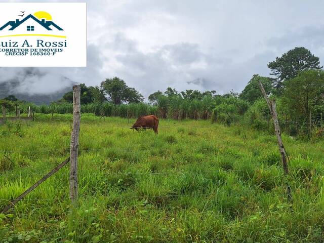 #120 - Chácara para Venda em Itariri - SP - 3