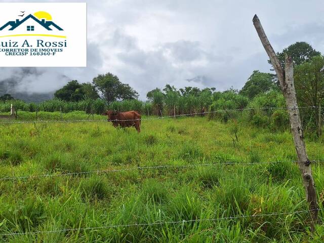 Chácara para Venda em Itariri - 4