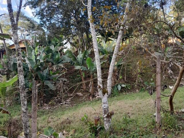 Chácara para Venda em Itariri - 4