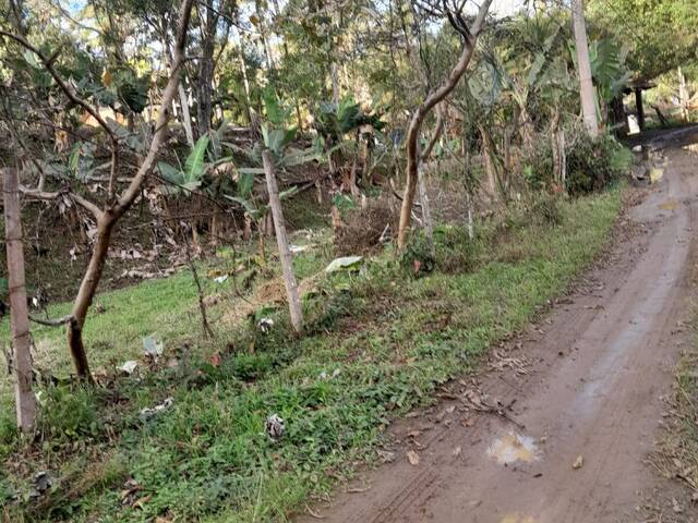 #128 - Chácara para Venda em Itariri - SP - 3