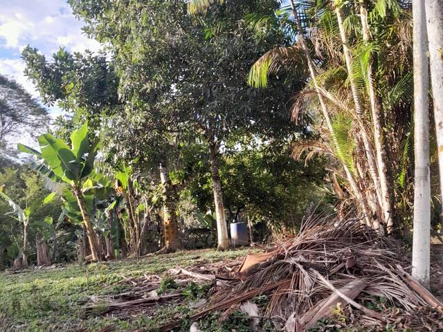 Chácara para Venda em Itariri - 5