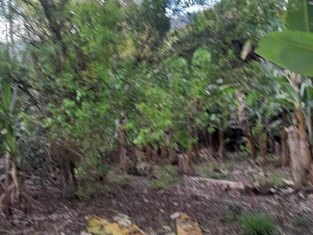Chácara para Venda em Itariri - 5