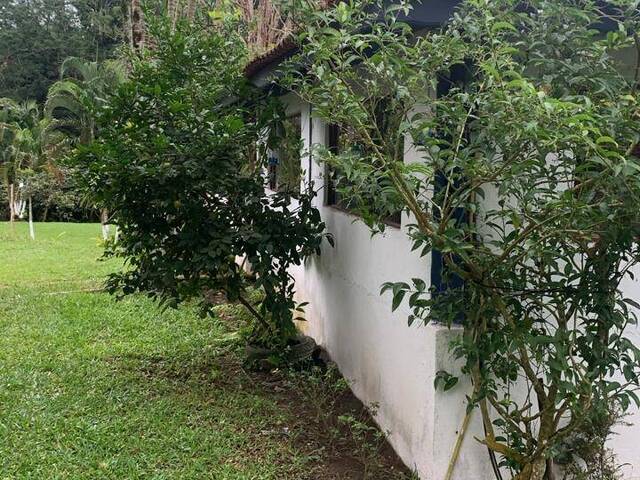Chácara para Venda em Pedro de Toledo - 4