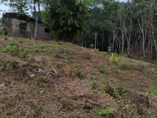 Chácara para Venda em Itariri - 5