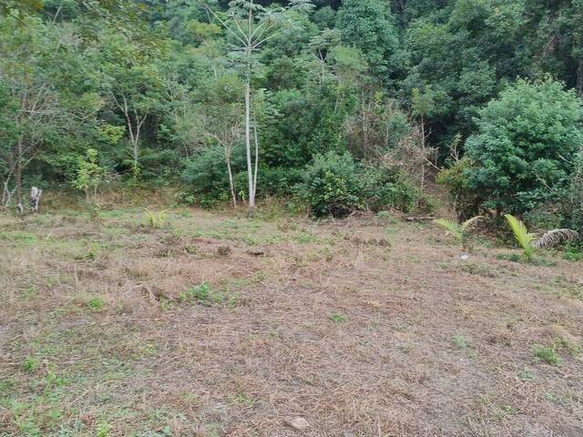 Chácara para Venda em Itariri - 4